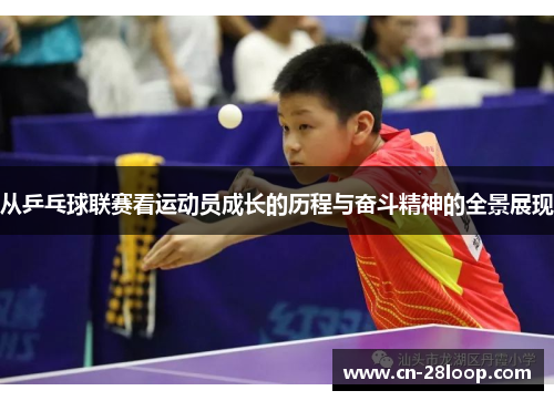 从乒乓球联赛看运动员成长的历程与奋斗精神的全景展现