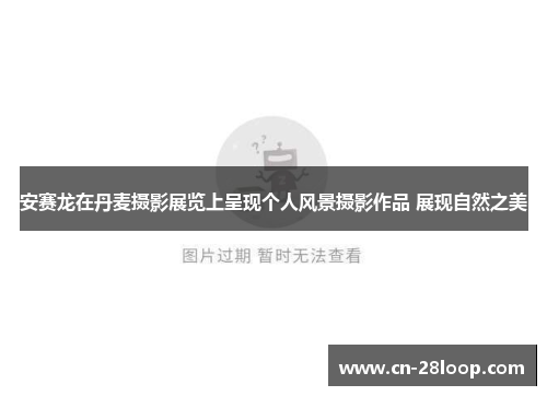 安赛龙在丹麦摄影展览上呈现个人风景摄影作品 展现自然之美