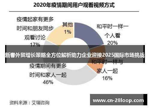 新春外贸增长策略全方位解析助力企业迎接2025国际市场挑战 新春外贸增长策略全方位解析助力企业迎接2025国际市场挑战