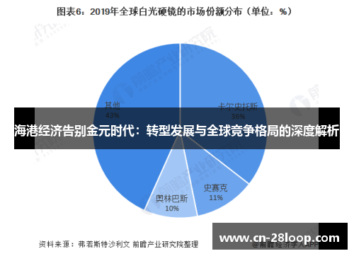 海港经济告别金元时代：转型发展与全球竞争格局的深度解析