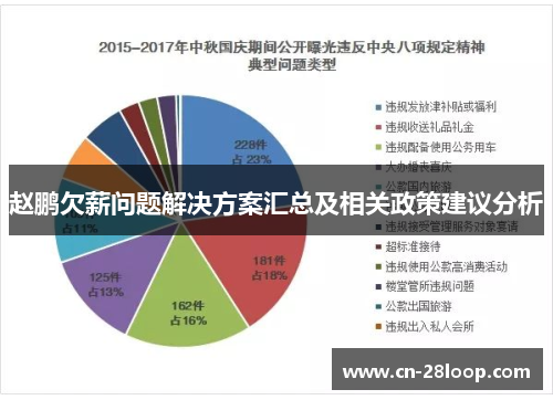 赵鹏欠薪问题解决方案汇总及相关政策建议分析