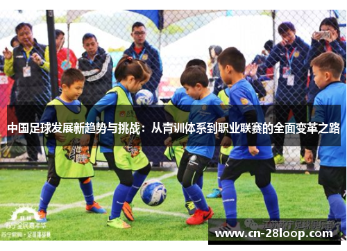 中国足球发展新趋势与挑战：从青训体系到职业联赛的全面变革之路