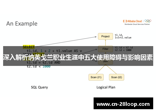 深入解析纳英戈兰职业生涯中五大使用障碍与影响因素